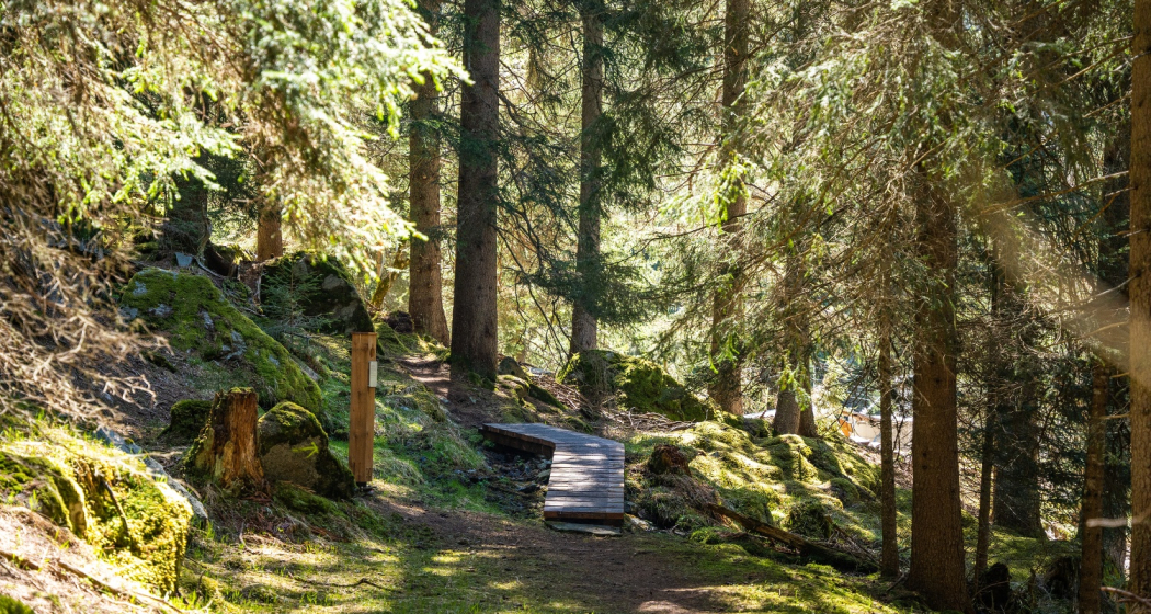 Waldweg Innerferrera