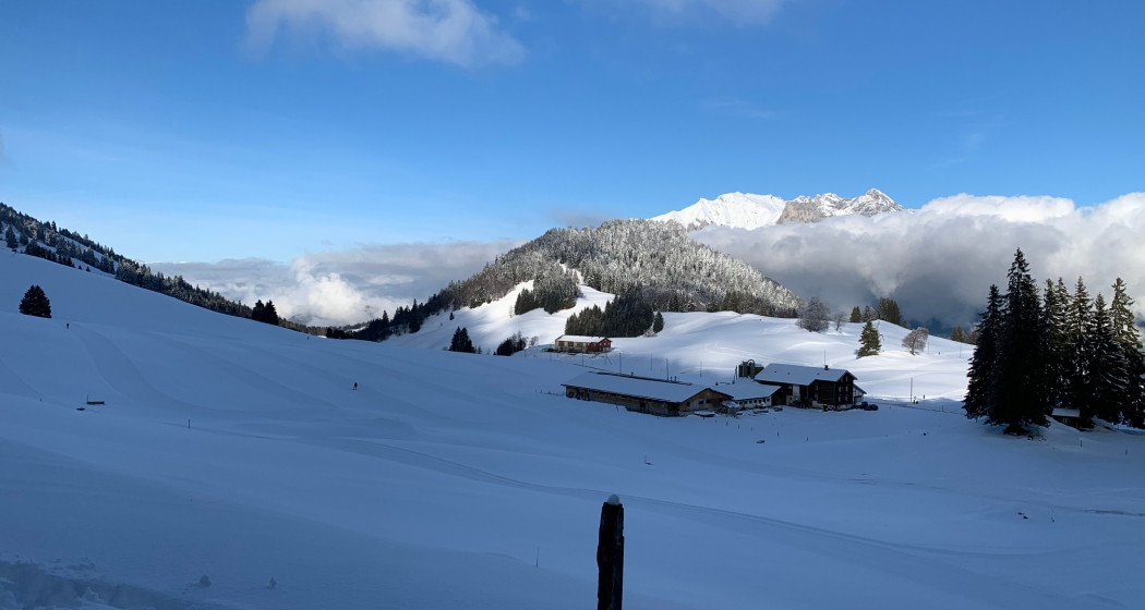 Der Winterwanderweg verläuft oberhalb der Loipe Fürggli Der Winterwanderweg verläuft oberhalb der Loipe Fürggli
