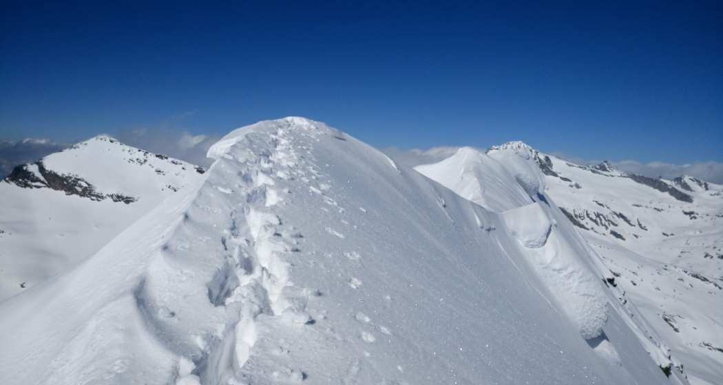 oua_56029221_image 405 - Zapporthorn