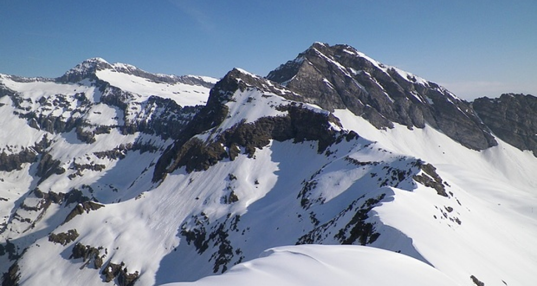 oua_56029222_image 405 - Zapporthorn