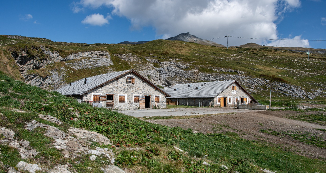 Alp Sogn Martin Alp Sogn Martin