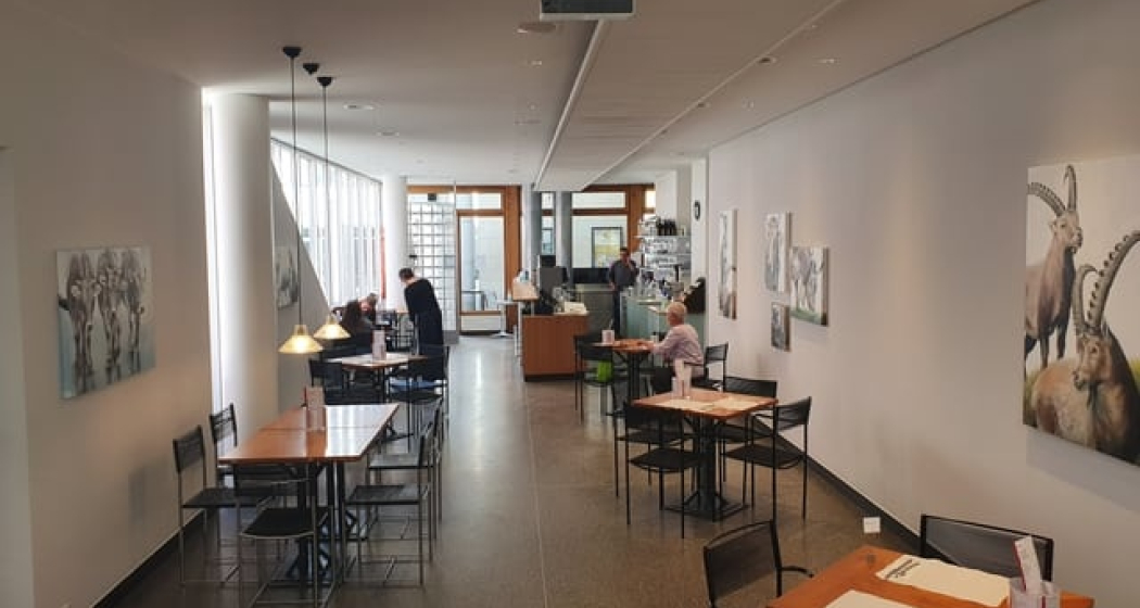 Café Benderer (oua_56295129_image) Café Benderer (oua_56295129_image)