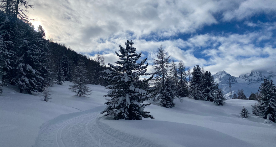 Alp Staz Alp Staz