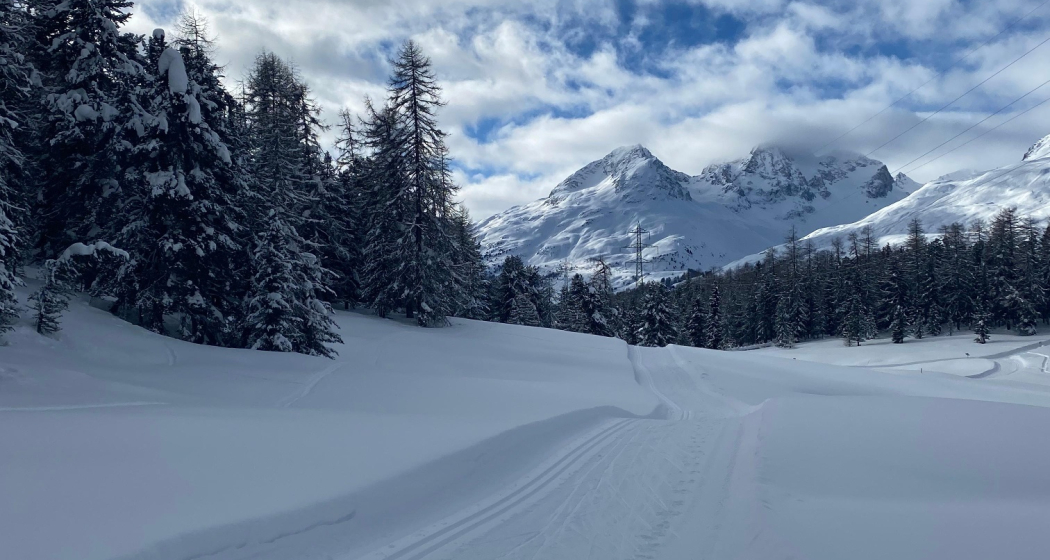 Alp Staz Alp Staz