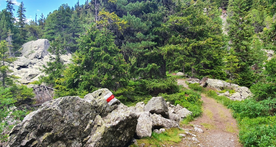 Trailrun Rund um den Marmorerasee (oua_56418815_image) Trailrun Rund um den Marmorerasee (oua_56418815_image)