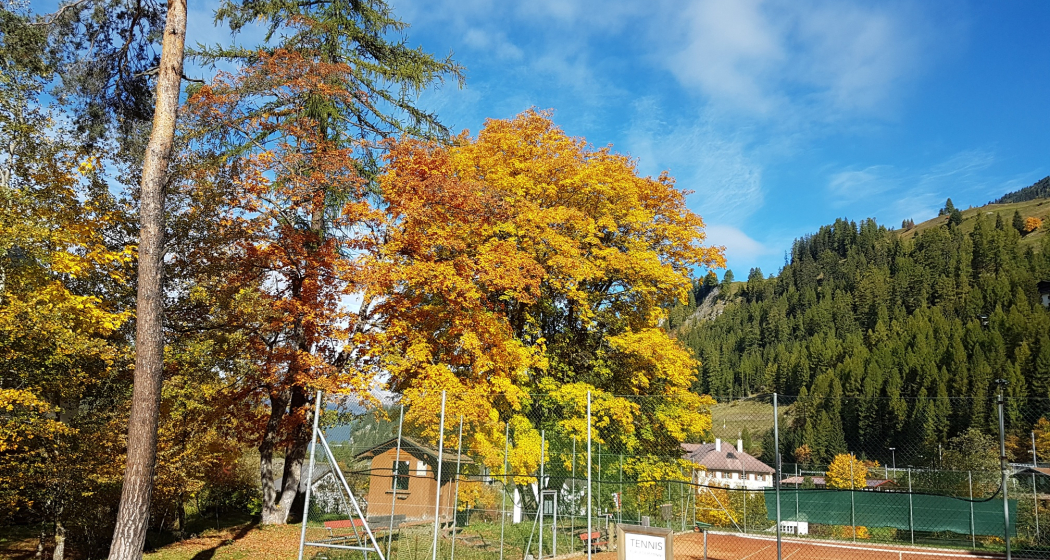 Tennisplatz Bergün