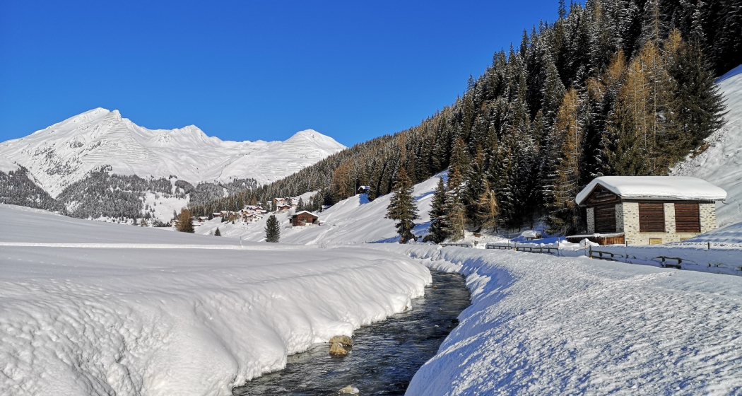 Kutschenfahrt Bahnhof Davos Platz - Teufi (Dischmatal) (oua_56667849_image) Kutschenfahrt Bahnhof Davos Platz - Teufi (Dischmatal) (oua_56667849_image)