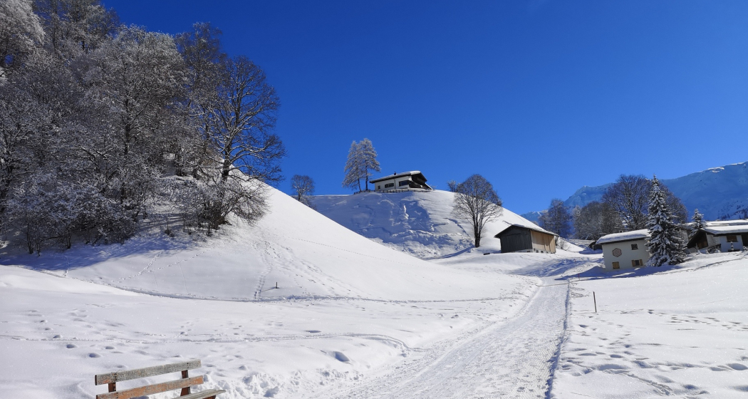 619 Alpenrösli-Trail (oua_56667992_image)