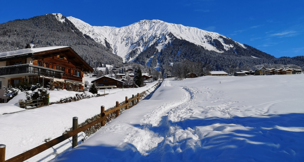 619 Alpenrösli-Trail (oua_56668042_image)