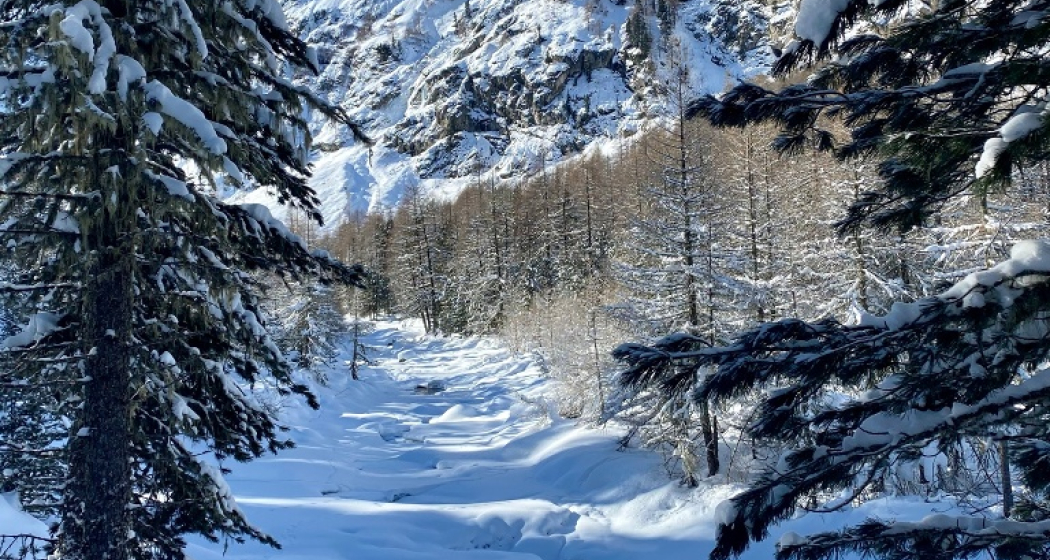 Val Roseg Val Roseg