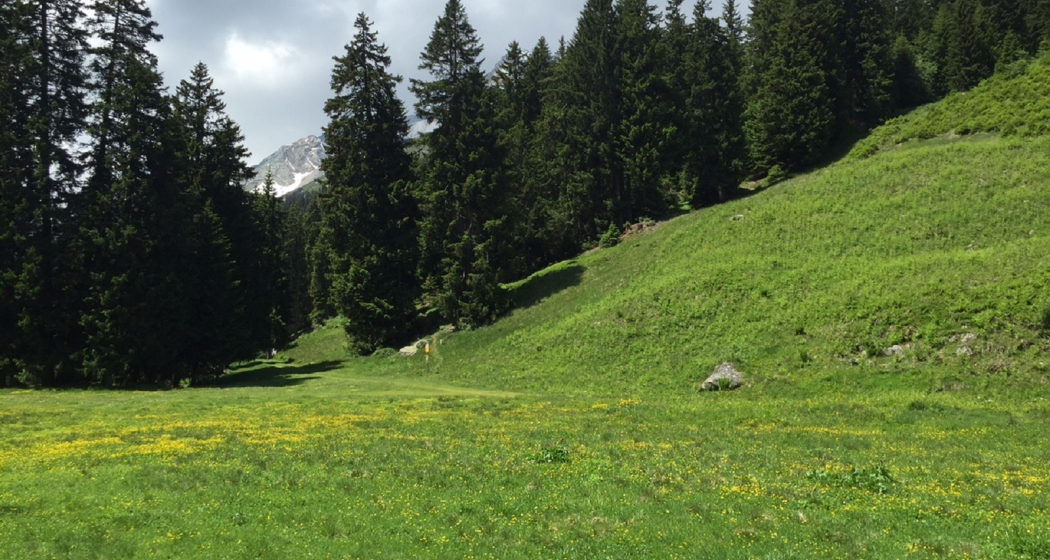 Rund um den Grep da Plaids (oua_56874377_image)