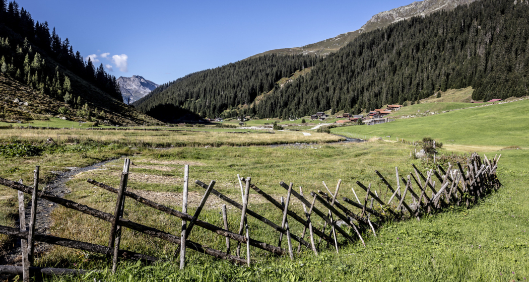 Rundwanderweg Klosters Etappe 6 - Russna - Schlappin (oua_57088853_image) Rundwanderweg Klosters Etappe 6 - Russna - Schlappin (oua_57088853_image)