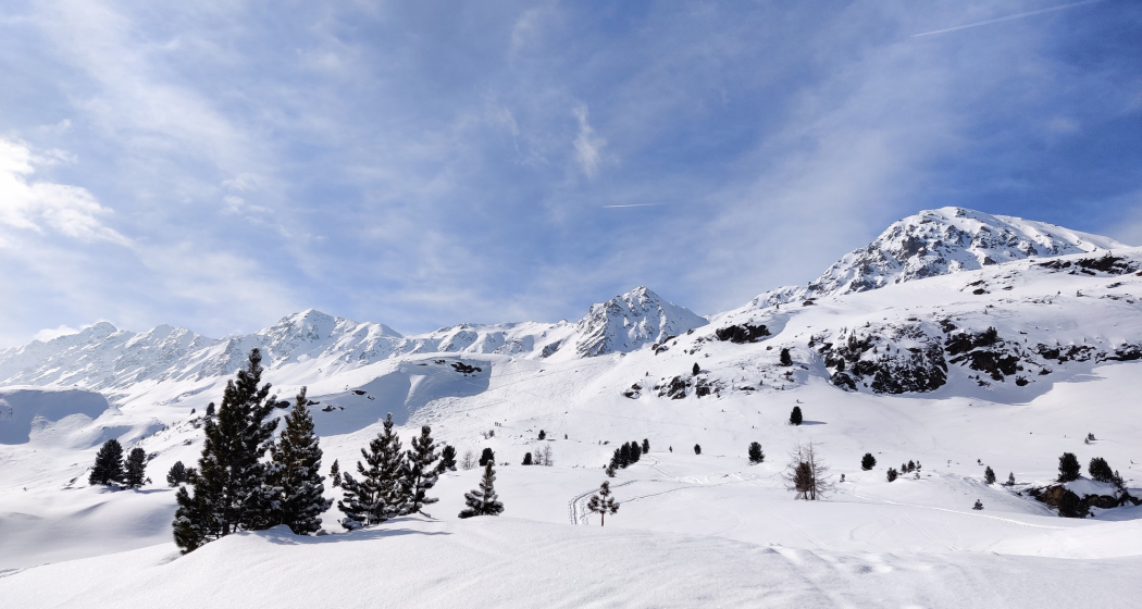 Baslersch Chopf (oua_57250107_image)