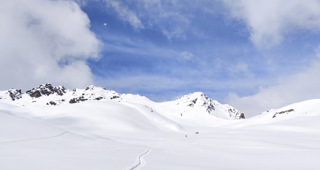 Baslersch Chopf (oua_57250109_image)