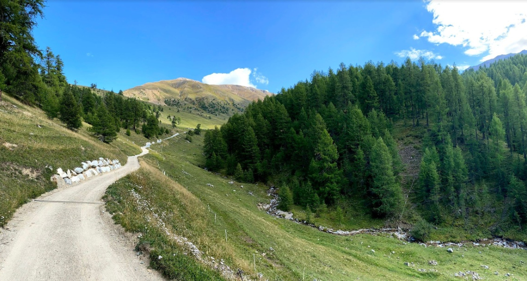 Alpweg zur Alp Arpiglia Alpweg zur Alp Arpiglia