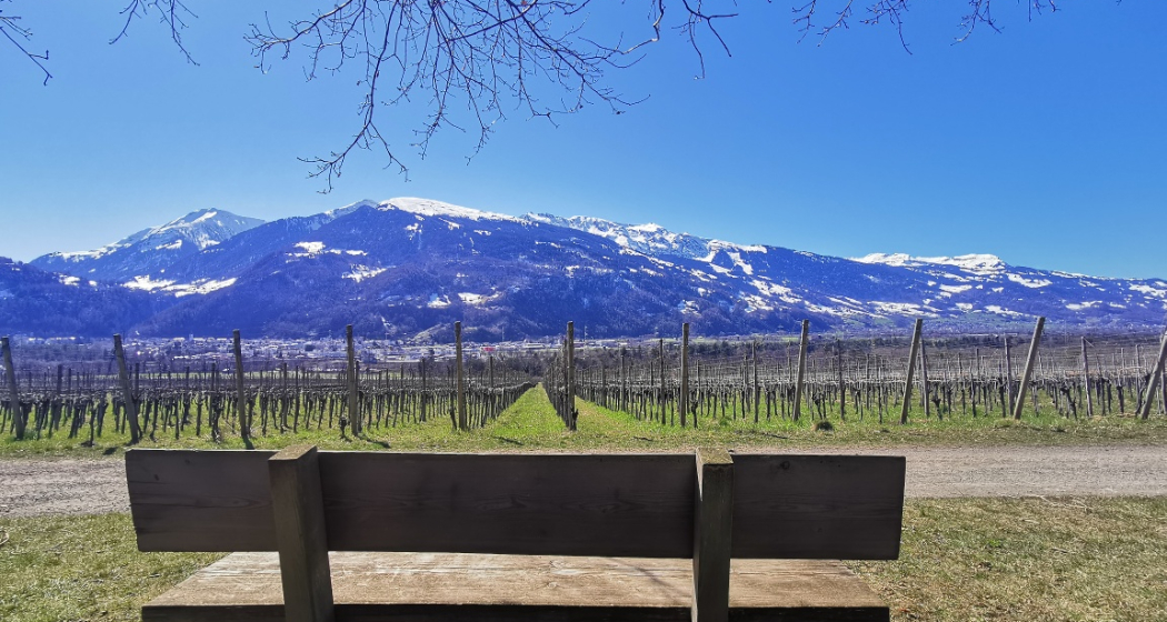 Sonnenbänkli auf der Weinwanderung in Fläsch Sonnenbänkli auf der Weinwanderung in Fläsch