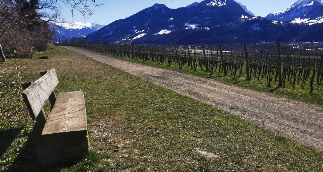 Sonnenbänkli im Wingert Sonnenbänkli im Wingert