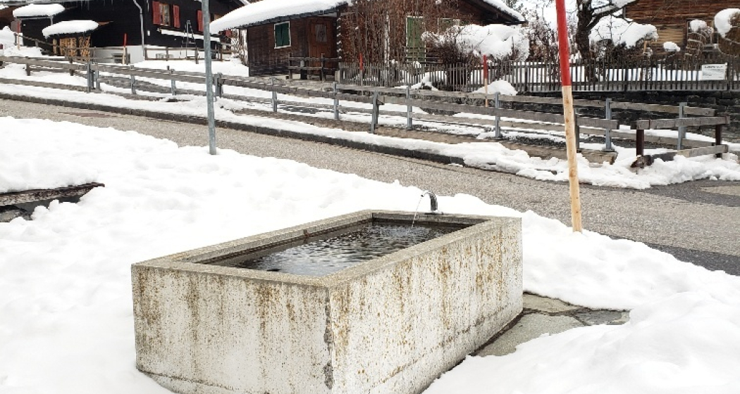 Wasserbrunnen Via Vitg Sura Ecke Flims Dorf (oua_57692790_image) Wasserbrunnen Via Vitg Sura Ecke Flims Dorf (oua_57692790_image)