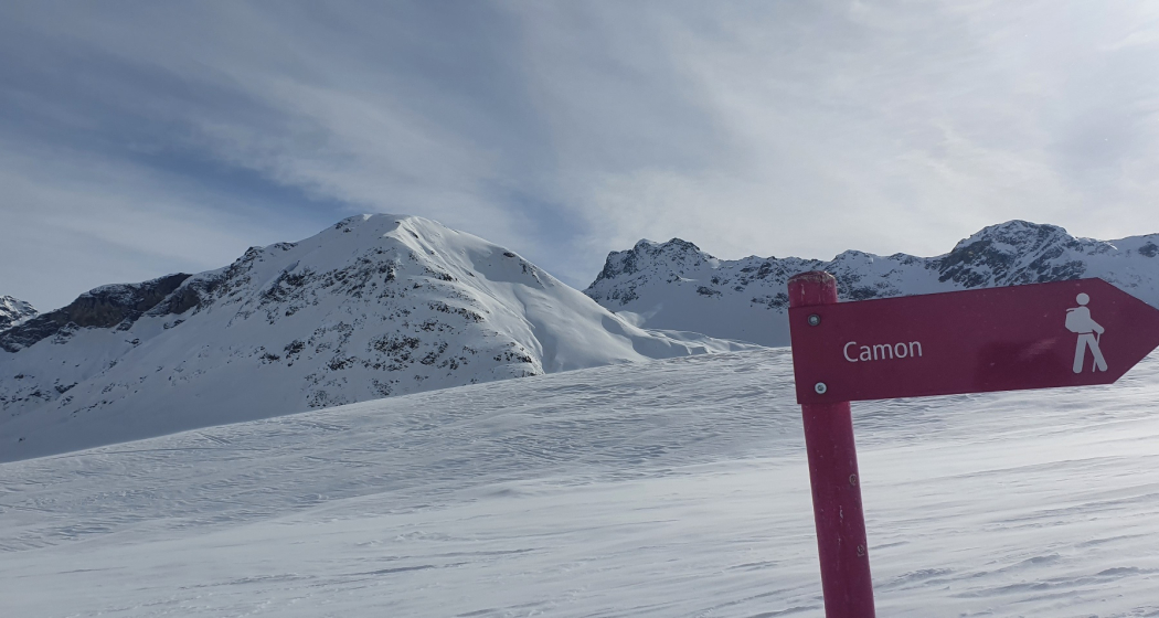 Bivio - Camon - Bivio (oua_57785421_image)