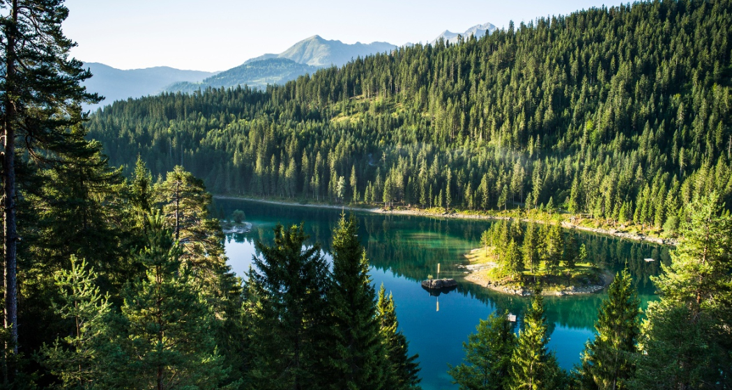 Rheinschlucht Wanderung: Tuora (656.3) (oua_57965335_image)