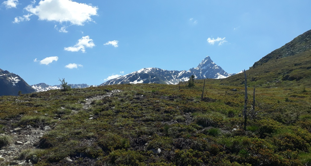 Panoramaweg Panoramaweg