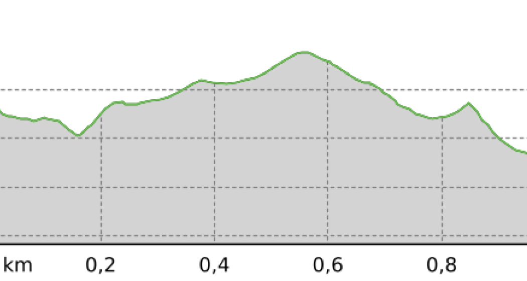 Got da Lai (oua_58416102_65d9c72_profile)
