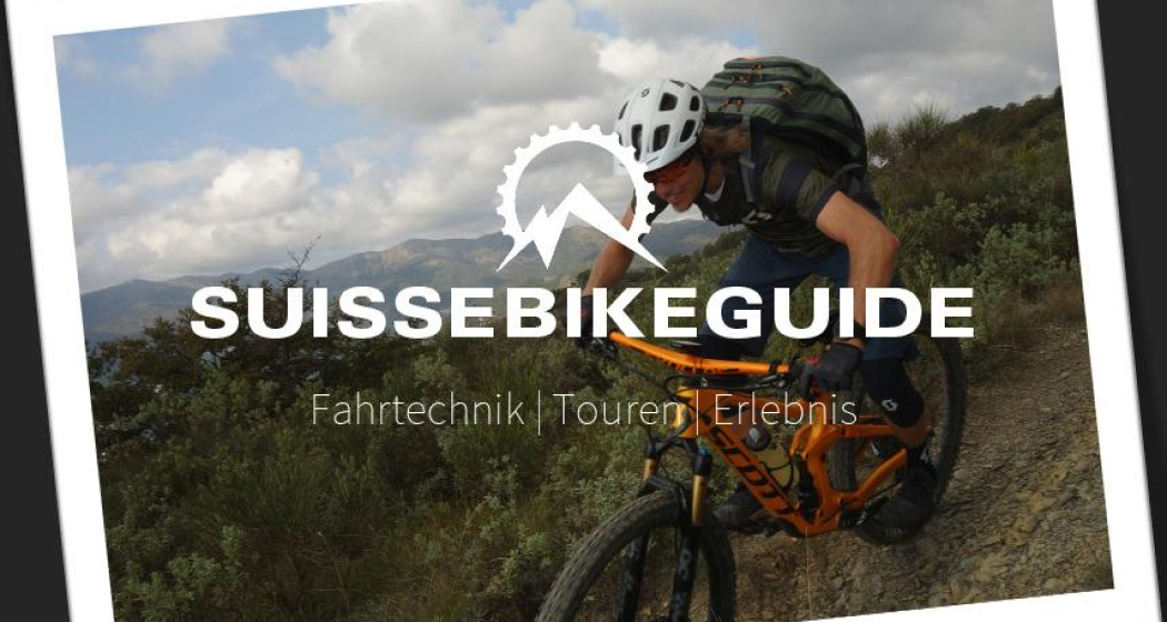 Logo Logo