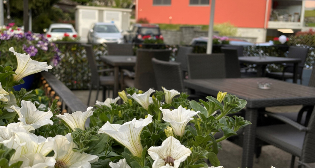 Ristorante Pizzeria Cairo (oua_58564475_image)