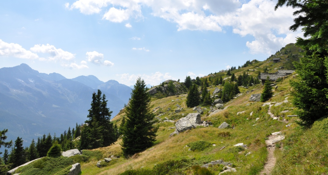 Panoramica Alta oder Sentiero Panoramico (oua_58644787_image)