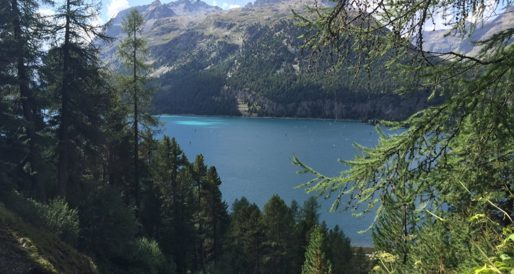 Aussicht auf den Silvaplanersee Aussicht auf den Silvaplanersee
