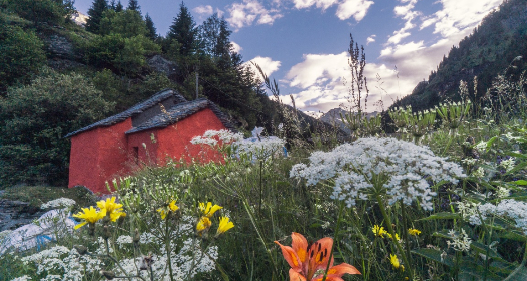 Gran Premio Rossa (oua_58986654_image)