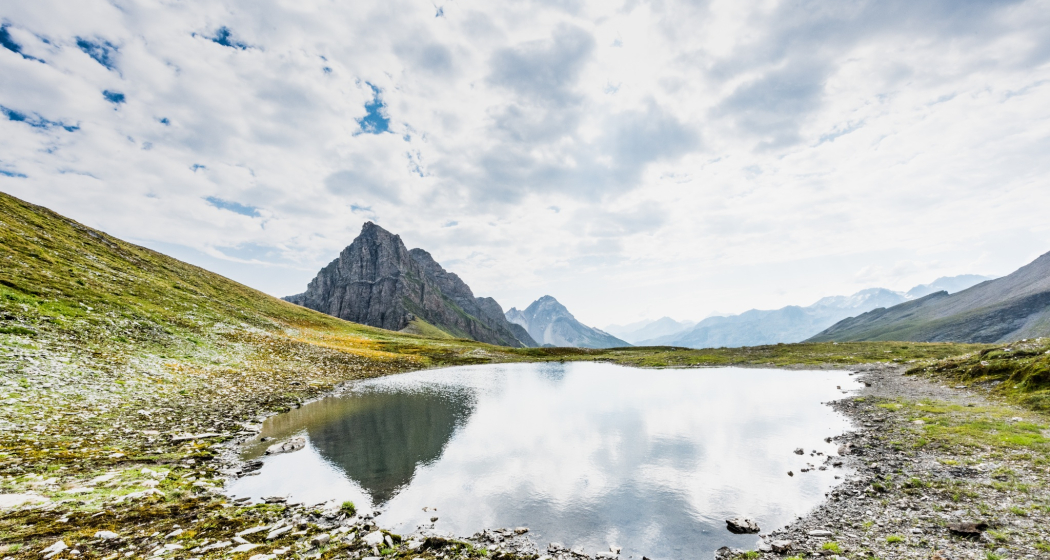 Auf dem Safierberg Auf dem Safierberg