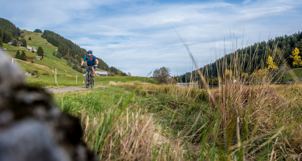 Entlang dem Brigelsersee Entlang dem Brigelsersee