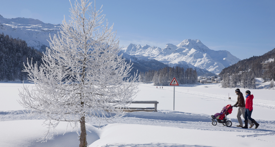 Winterwandern am Champfèrersee Winterwandern am Champfèrersee