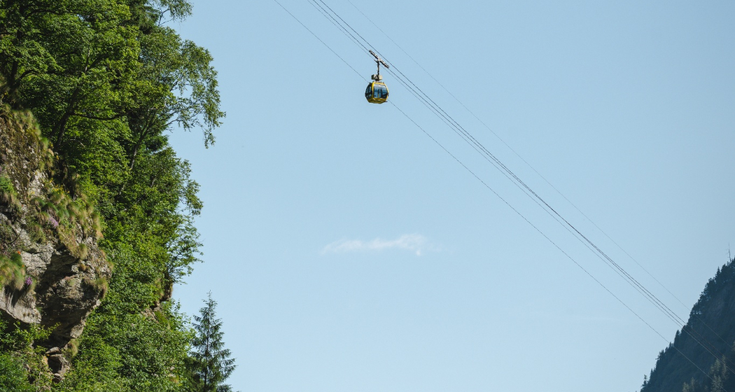 Selma - Landarenca (oua_600842314_image)