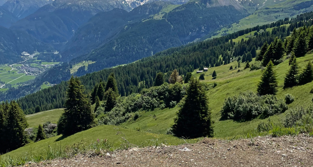 Bank entlang Panoramaweg Schamserberg Bank entlang Panoramaweg Schamserberg