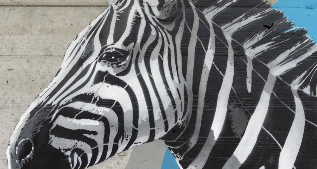 Zebra - Darba - mMoMAm (oua_602106171_image) Zebra - Darba - mMoMAm (oua_602106171_image)