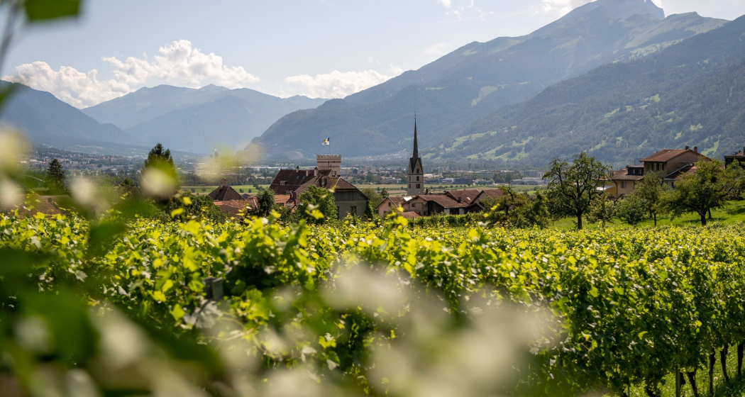 Dorf Malans und Reben Dorf Malans und Reben
