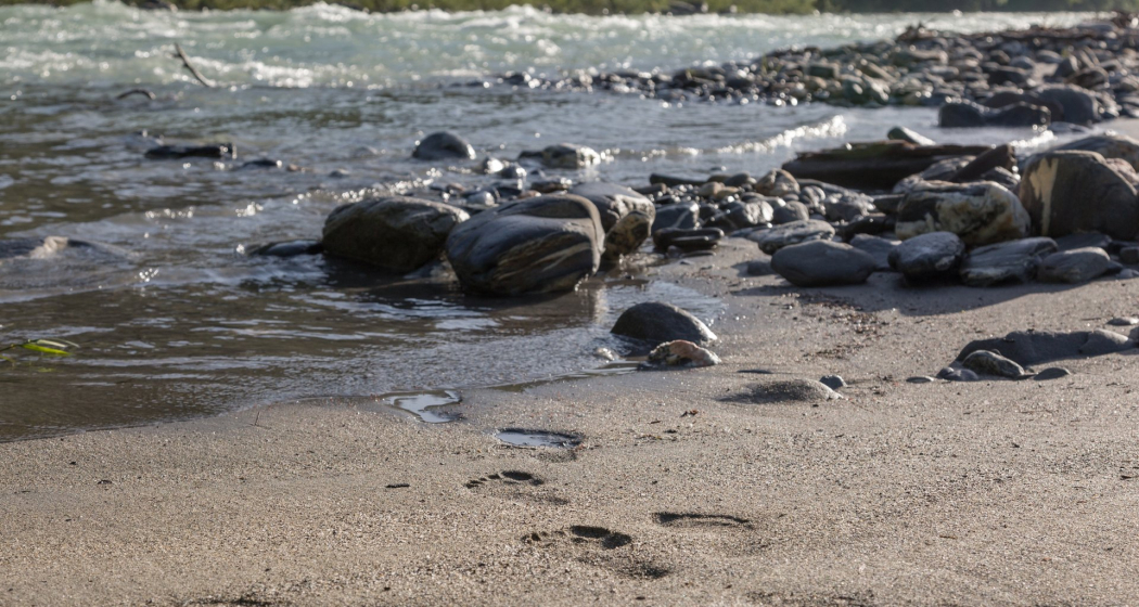 Sandstrand am Rhein Sandstrand am Rhein