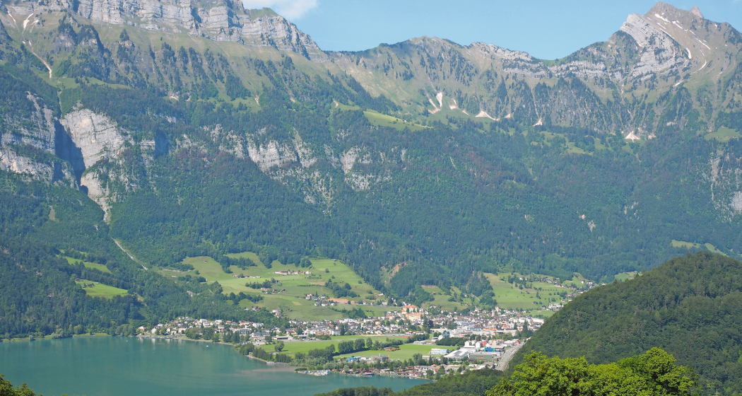 Raischibe Mols Raischibe Mols