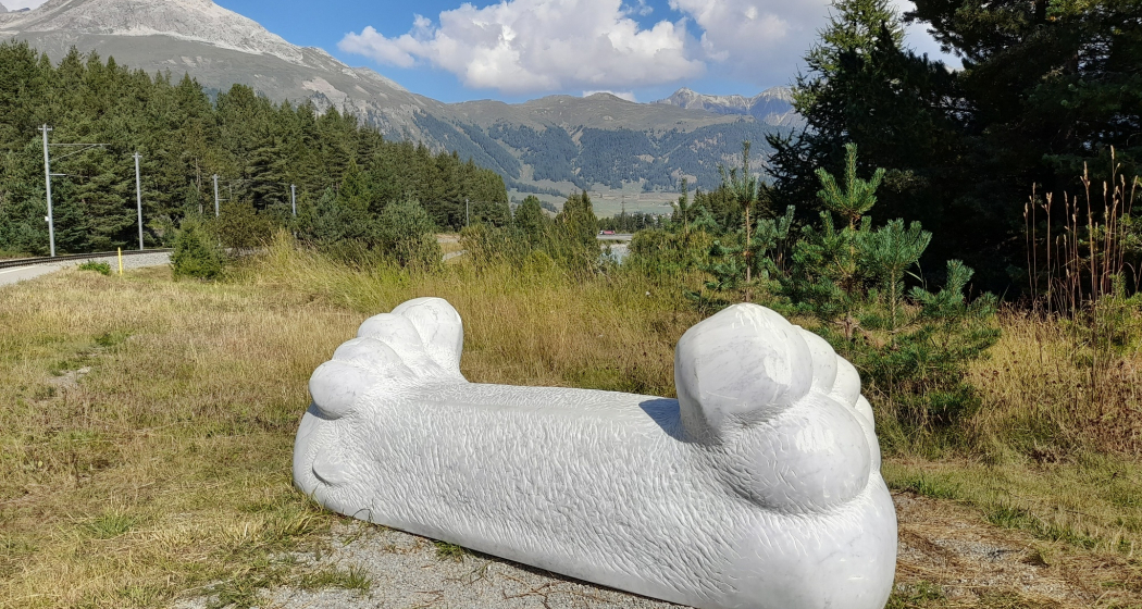Mountainbike-Tour mit dem Bernina Express von Samedan über Pontresina nach Ova da Morteratsch (oua_602834851_image) Mountainbike-Tour mit dem Bernina Express von Samedan über Pontresina nach Ova da Morteratsch (oua_602834851_image)