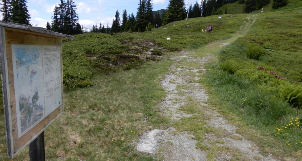 bequemer Wanderweg bequemer Wanderweg