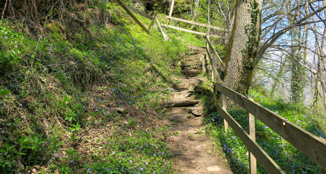 Feuerstelle Ruine Gräpplang (oua_603360883_image) Feuerstelle Ruine Gräpplang (oua_603360883_image)