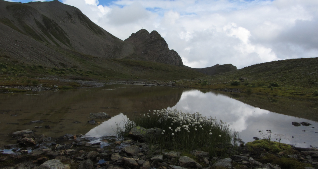 Ober Malfrag Ober Malfrag