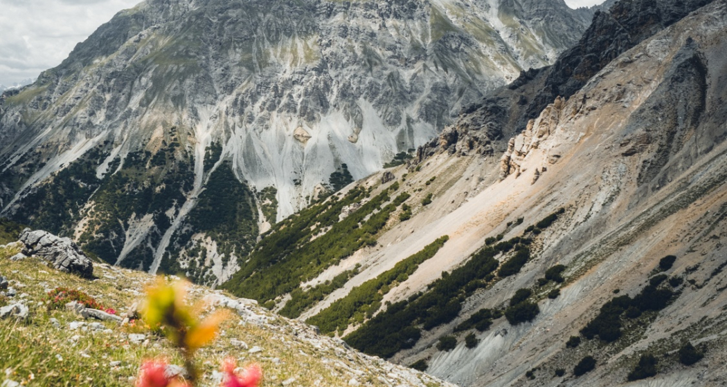 Valbella Rundtour ab Ofenpass (oua_603436950_image)