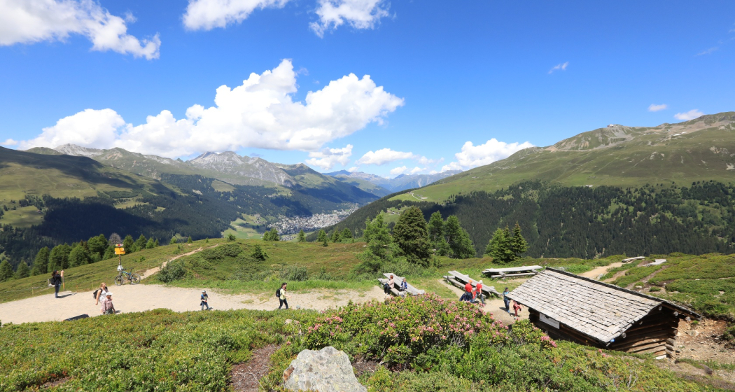 Rinerhorn Rinerhorn