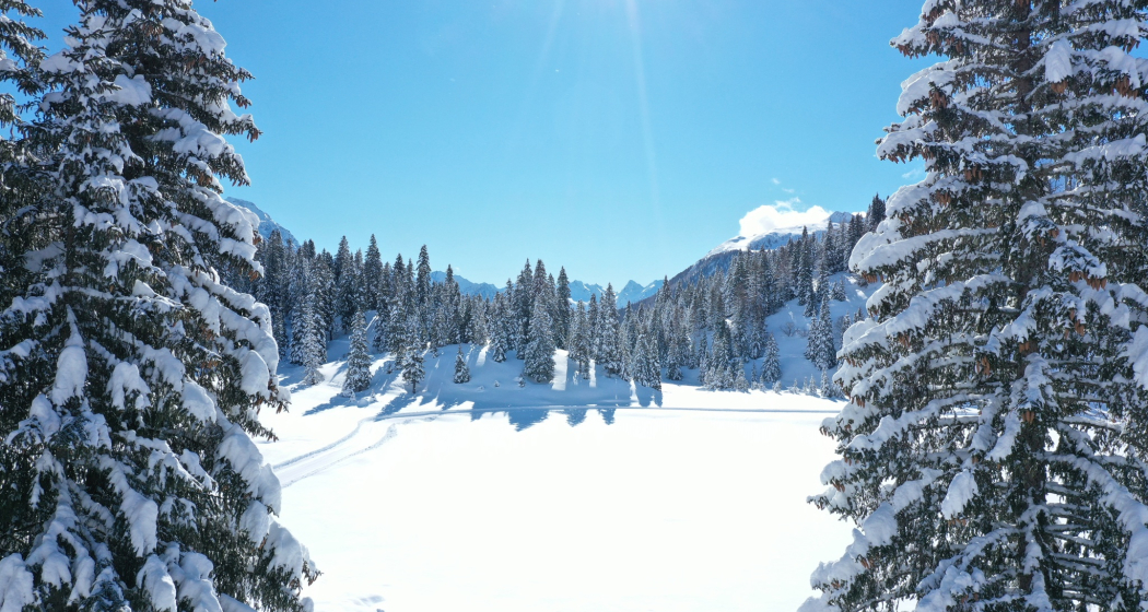 Pista Lido (oua_604068901_image)