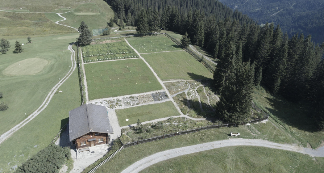 maran_alpengarten maran_alpengarten