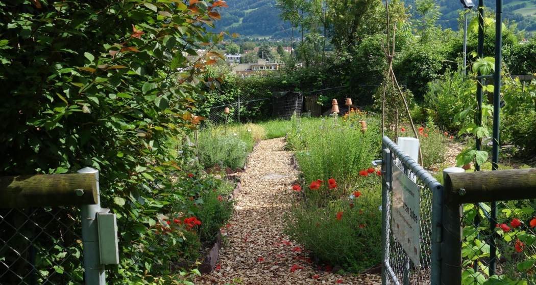 Kneippanlage Sargans mit Kräutergarten (oua_604390123_image) Kneippanlage Sargans mit Kräutergarten (oua_604390123_image)