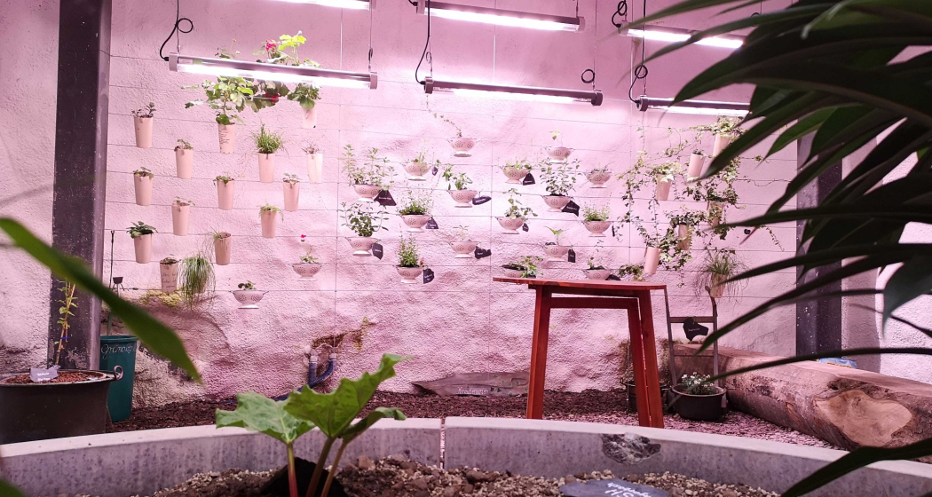 VersuchsStollen Hagerbach (oua_604435659_image)